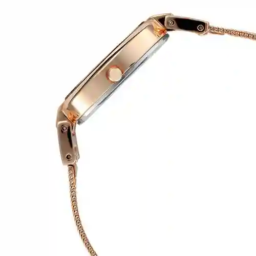 Titan Raga Viva Anthracite Dial Women’s Watch with Metal Strap