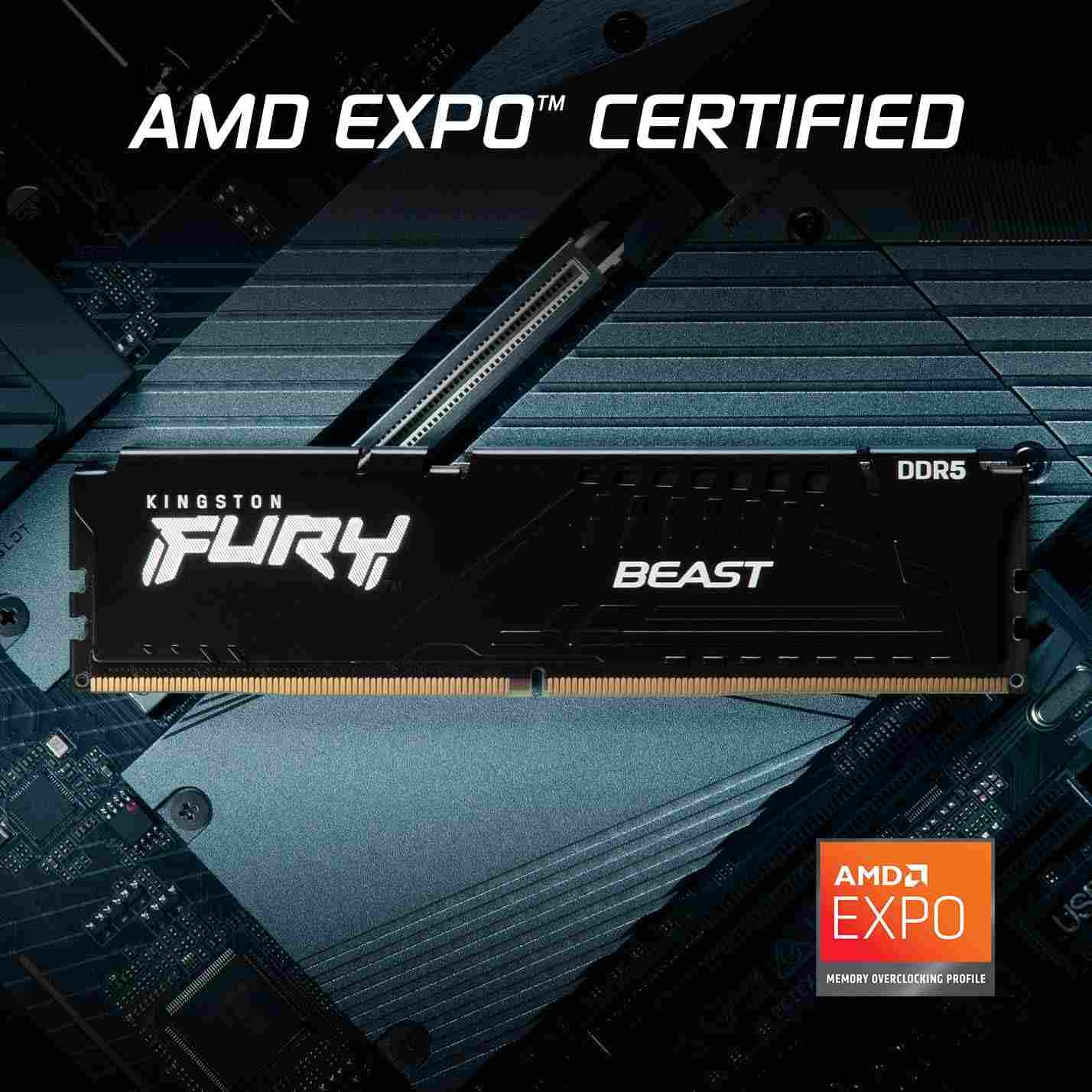 Kingston FURY Beast Black EXPO DDR5 32GB (2x16GB) 6400MHz Desktop Memory