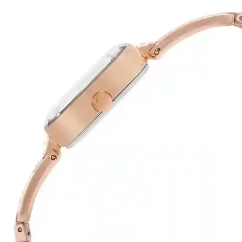 Titan Raga Viva Rose Gold Dial Women Watch With Metal Strap | Elegant Women’s Fashion Watch