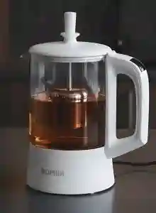 Bomidi Electric Kettle | Fast Boil Stainless Steel Kettle for Home & Office