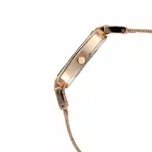 Titan Raga Viva Anthracite Dial Analog Watch for Women 2608WM02 | Elegant Rose Gold Women’s Watch