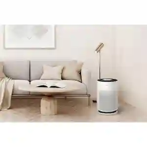 LG Air Purifier AS60GHWG0 | 360° Purification • PM1.0 Sensor • ThinQ WiFi