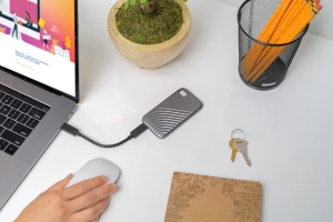 Western Digital WD 2TB My Passport SSD Portable SSD WDBAGF0020BGY-WESN