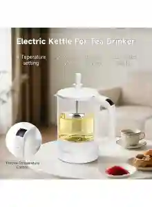 Bomidi Electric Kettle | Fast Boil Stainless Steel Kettle for Home & Office