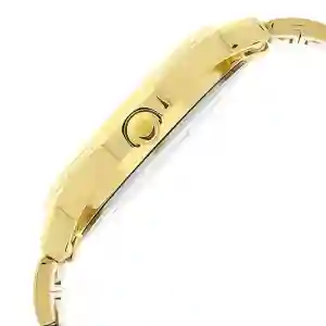 Titan Analog with Day and Date Quartz Champagne Dial Metal Round Stainless Steel Strap Watch for Men