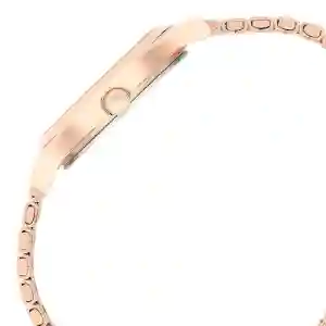 Titan Women Karishma Brown Dial Metal Strap Watch