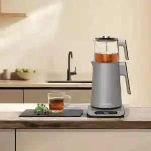 Nutricook NC-KTM330G 2-in-1 Tea Maker | Electric Kettle & Tea Brewer