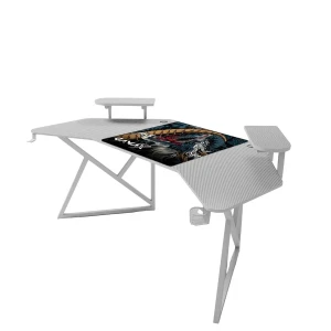Ergonomic Gaming and Computer Desk