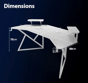 Ergonomic Gaming and Computer Desk