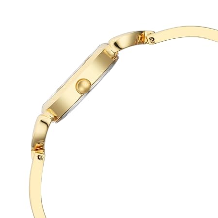 Titan Raga Champagne Dial Watch for Women 2724YM01